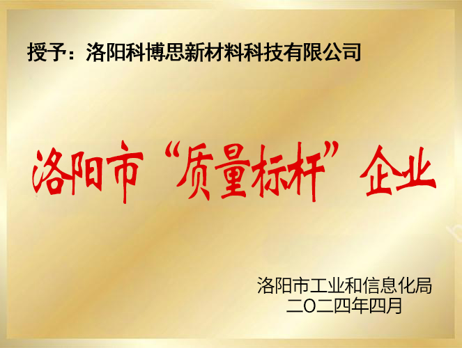 市質量標桿